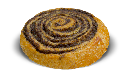 Mohnschnecke Mohnschnecke